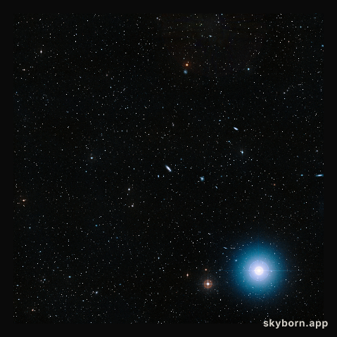 Wide-field view of the field around NGC 4666