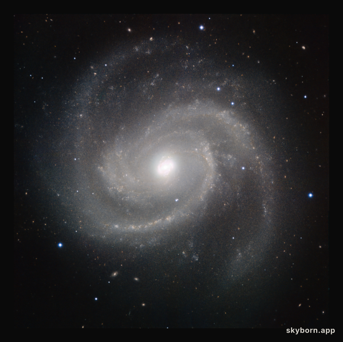 HAWK-I image of Messier 100