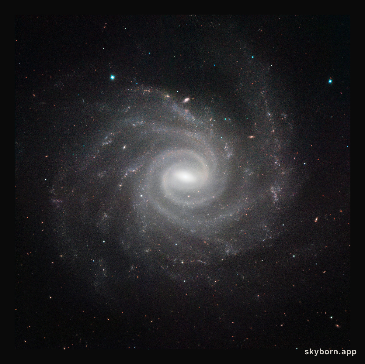 HAWK-I image of NGC 1232