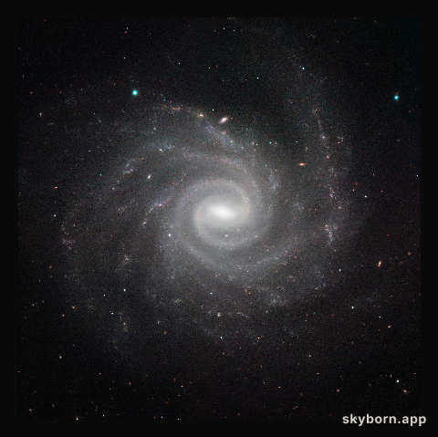 HAWK-I image of NGC 1232