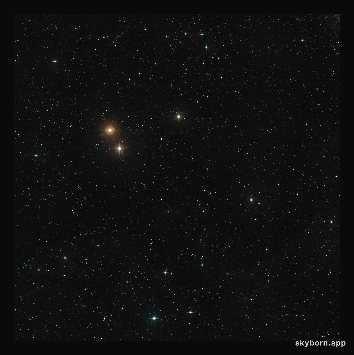 Wide-field image centred on the exoplanet HIP 13044 b