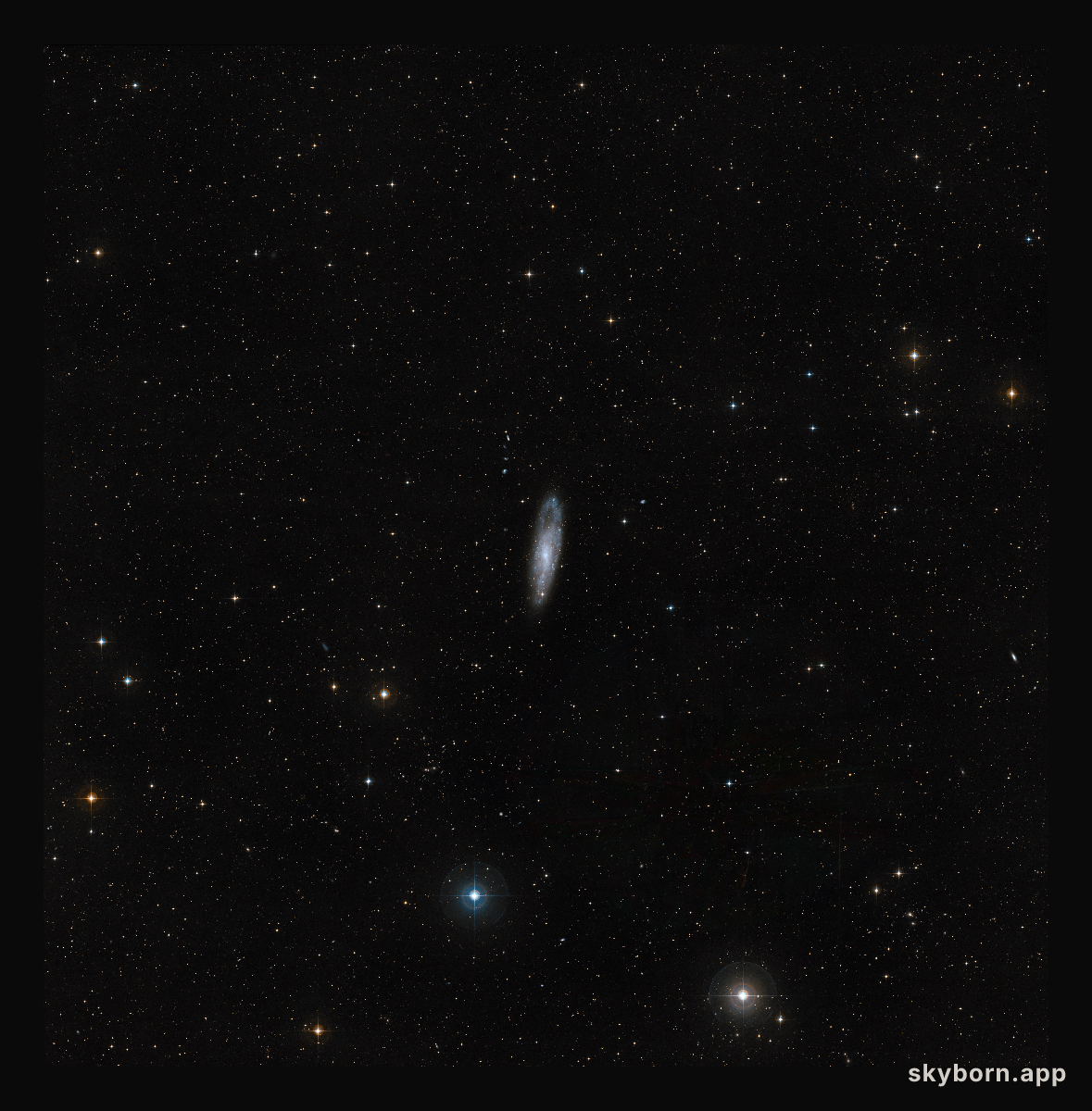 Wide-field view of the sky around NGC 247