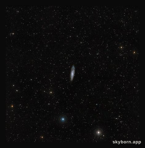 Wide-field view of the sky around NGC 247