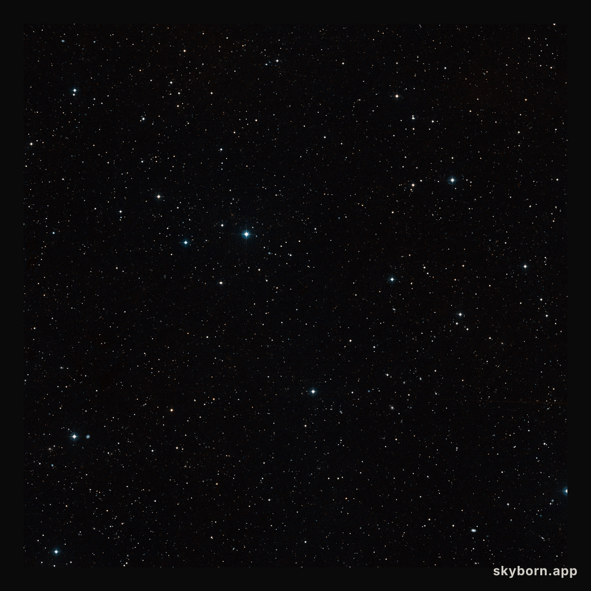 Wide-field view of the sky around the brown dwarf binary CFBDSIR 1458+10