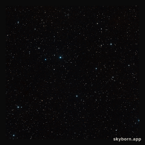 Wide-field view of the sky around the brown dwarf binary CFBDSIR 1458+10