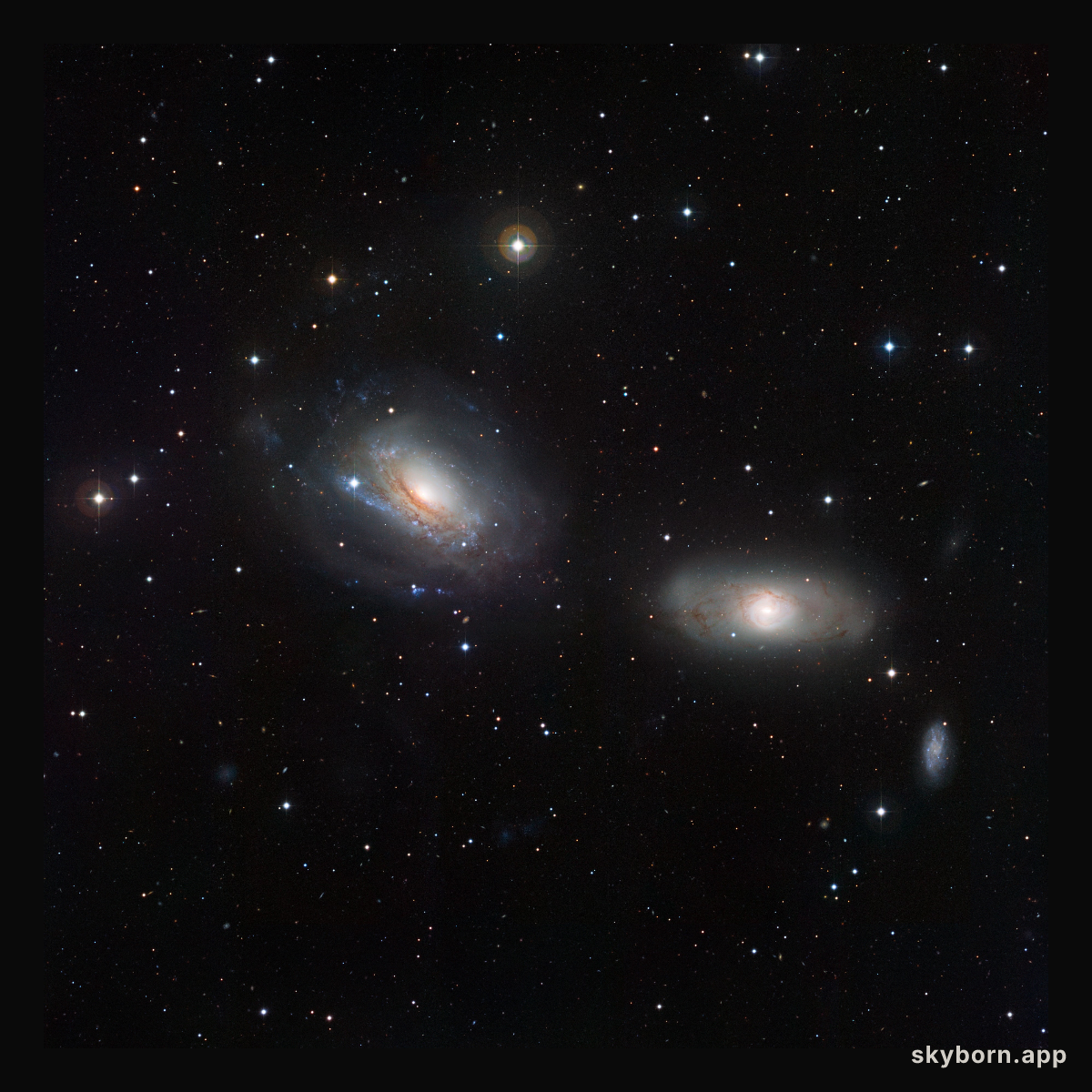 The disturbed galactic duo NGC 3169 and NGC 3166