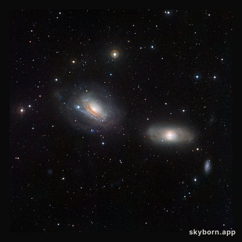 The disturbed galactic duo NGC 3169 and NGC 3166