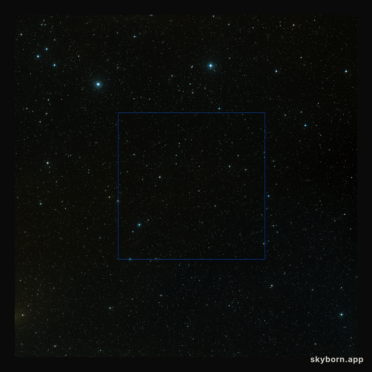 Wide-field view of the COSMOS field