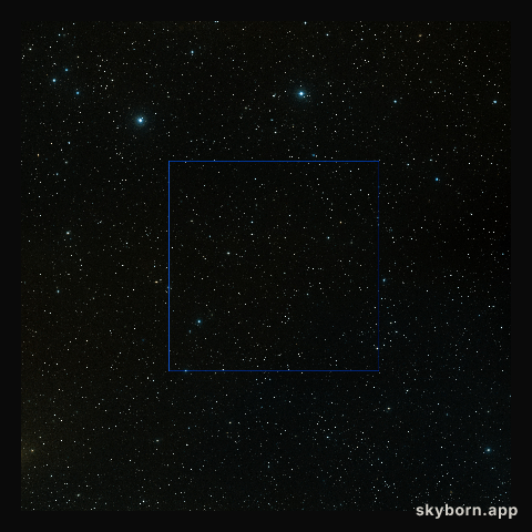 Wide-field view of the COSMOS field