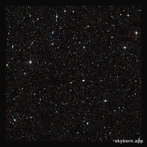 The COSMOS field (unannotated)