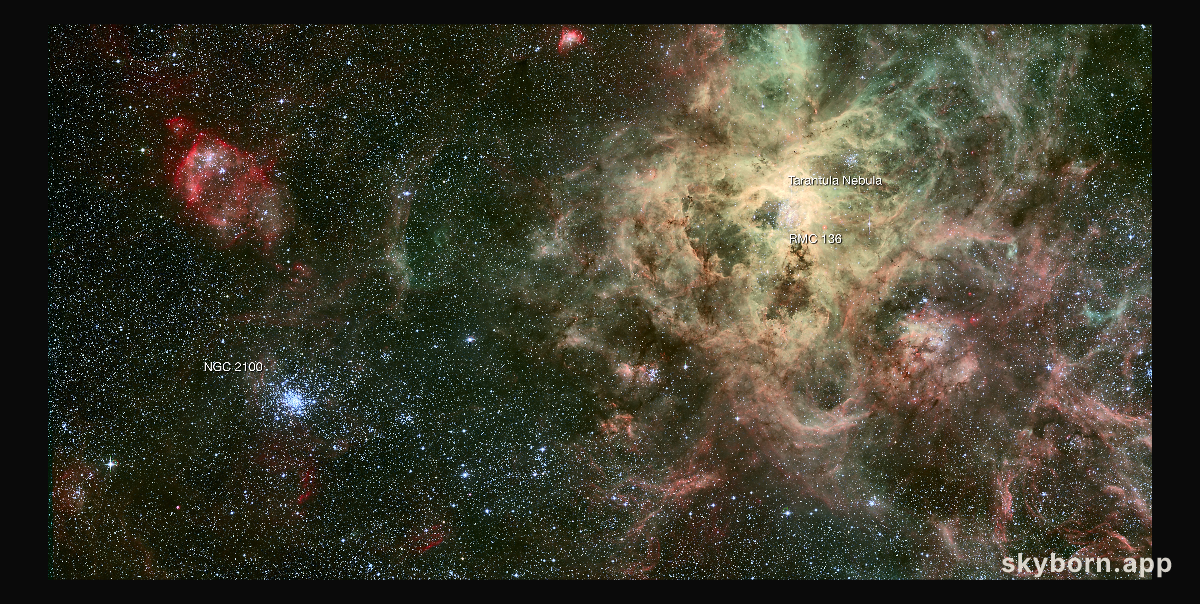 The star cluster NGC 2100 in context