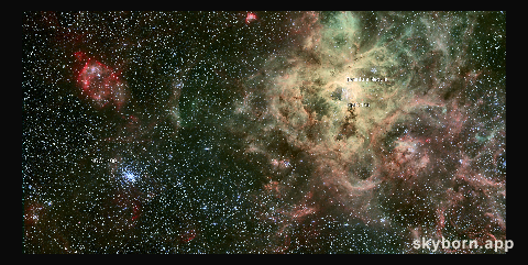 The star cluster NGC 2100 in context
