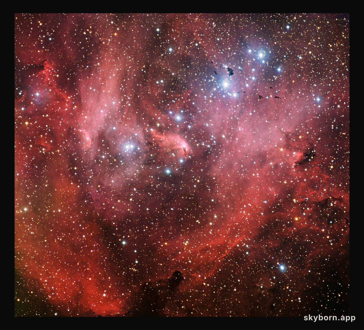 IC 2944, nicknamed the Running Chicken Nebula