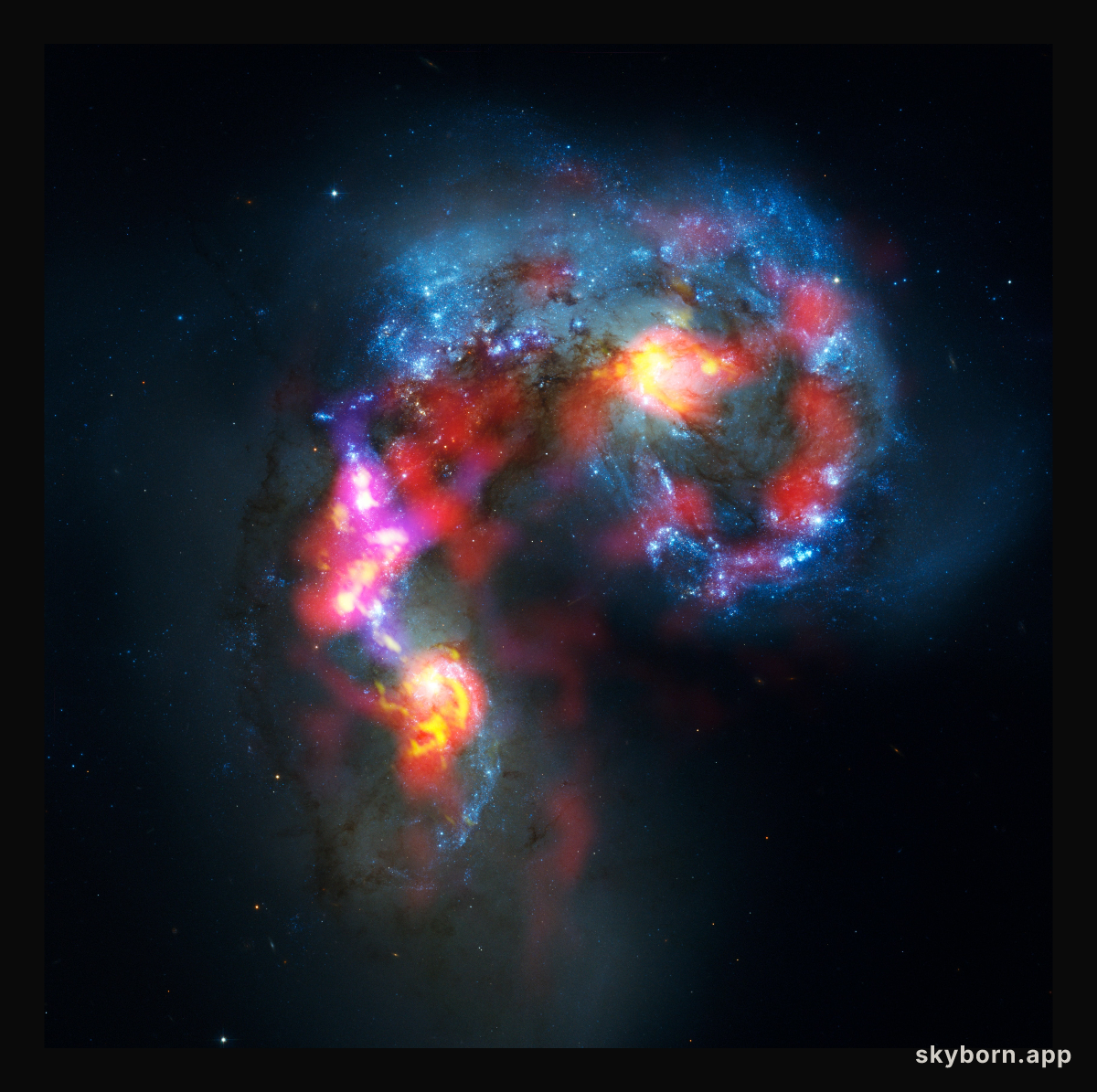 Antennae Galaxies composite of ALMA and Hubble observations