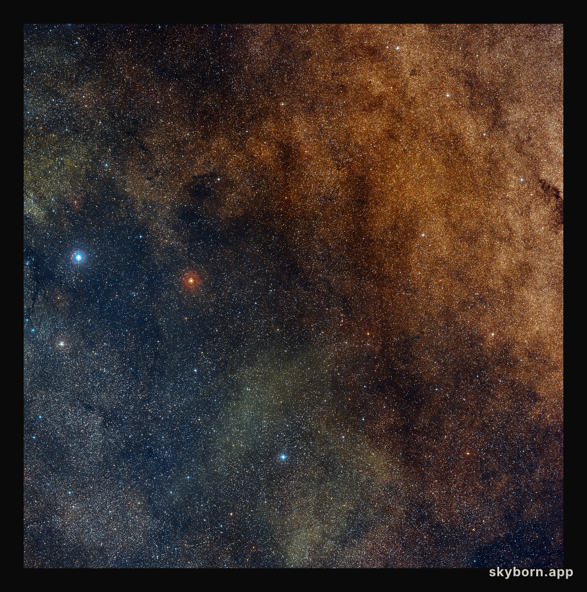 Wide-field view of the newly discovered globular cluster VVV CL001