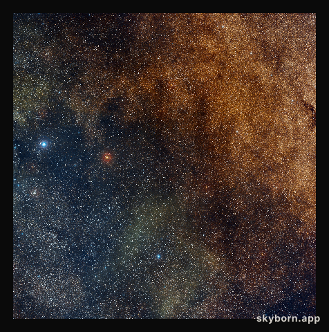 Wide-field view of the newly discovered globular cluster VVV CL001