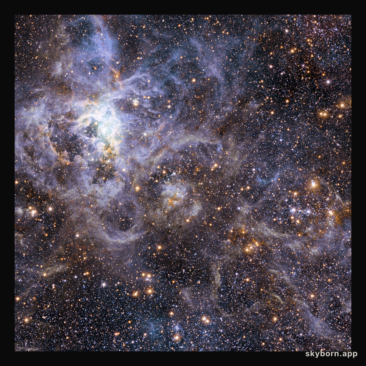 Wide-field view of the sky around VFTS 102: the fastest rotating massive star