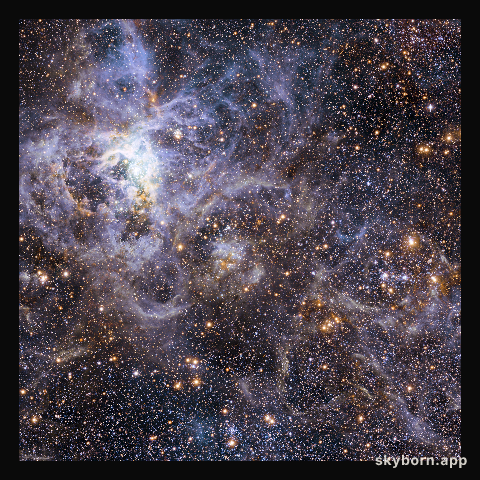 Wide-field view of the sky around VFTS 102: the fastest rotating massive star