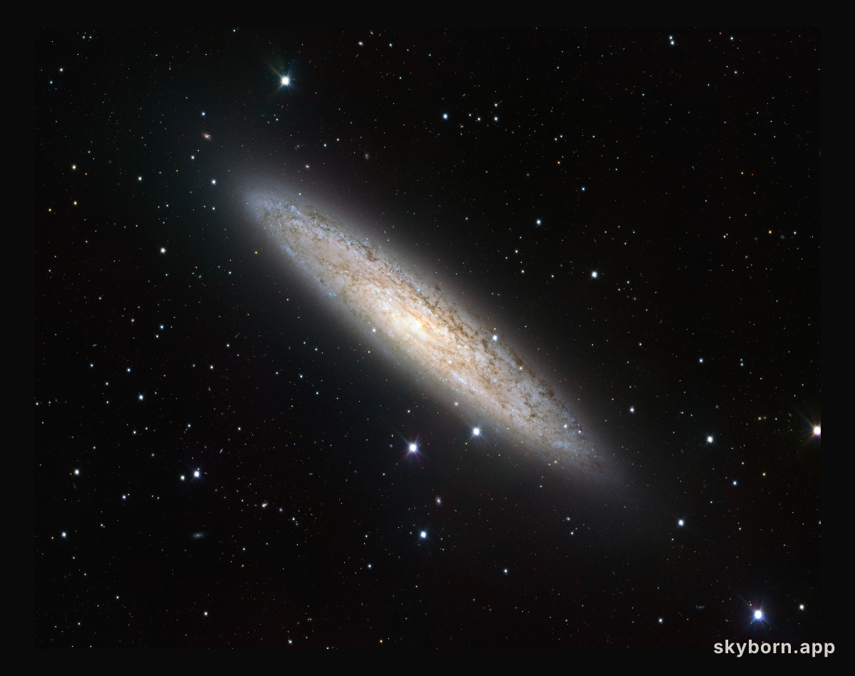 Wide-field view of NGC 253 from the VLT Survey Telescope