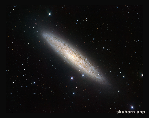 Wide-field view of NGC 253 from the VLT Survey Telescope