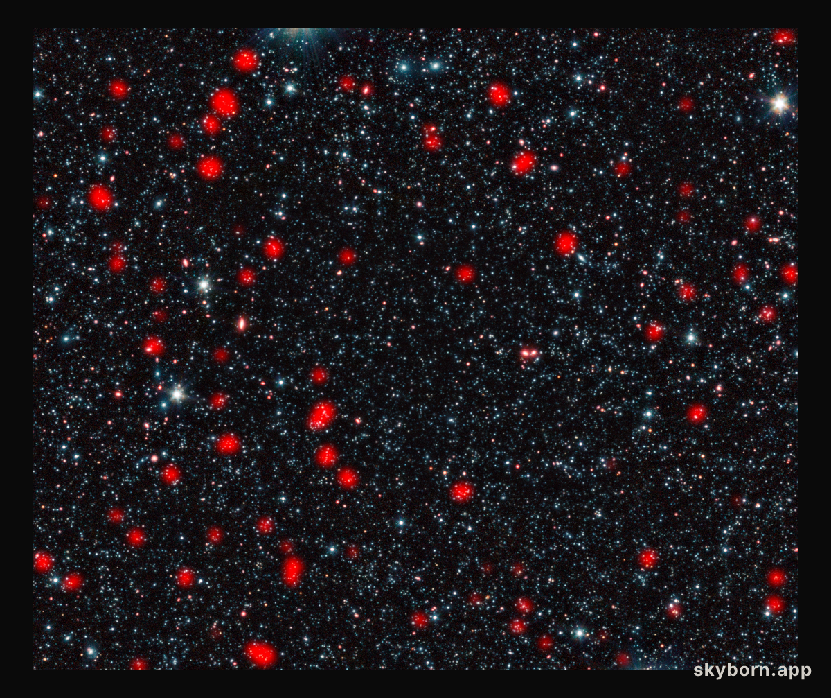 Distant star-forming galaxies in the early Universe