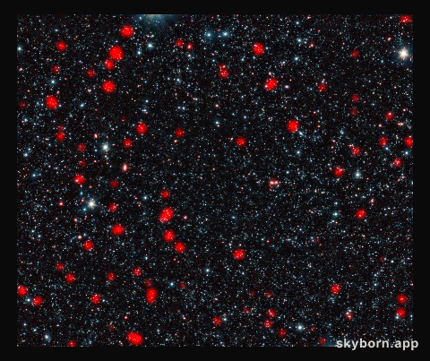 Distant star-forming galaxies in the early Universe