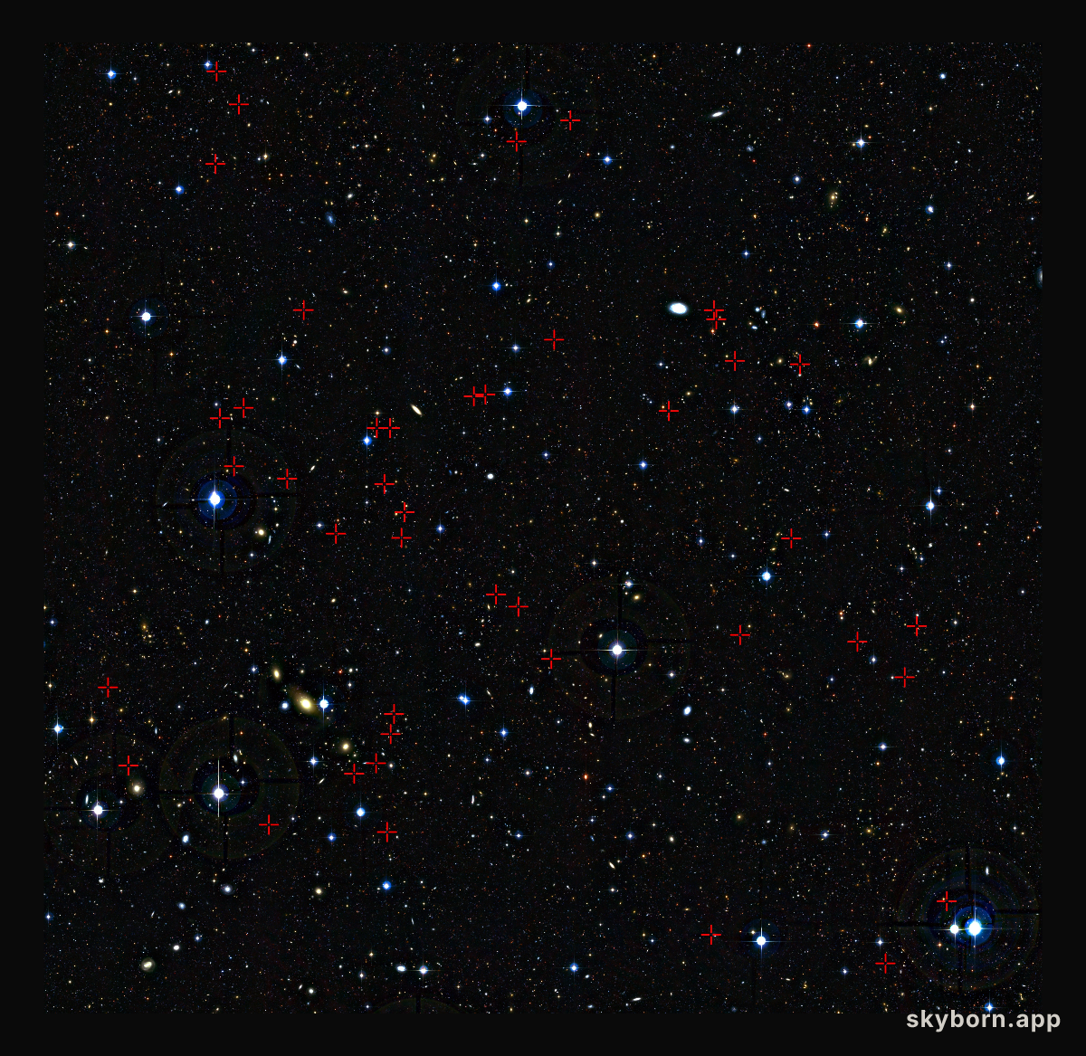 Teenage galaxies in the distant Universe