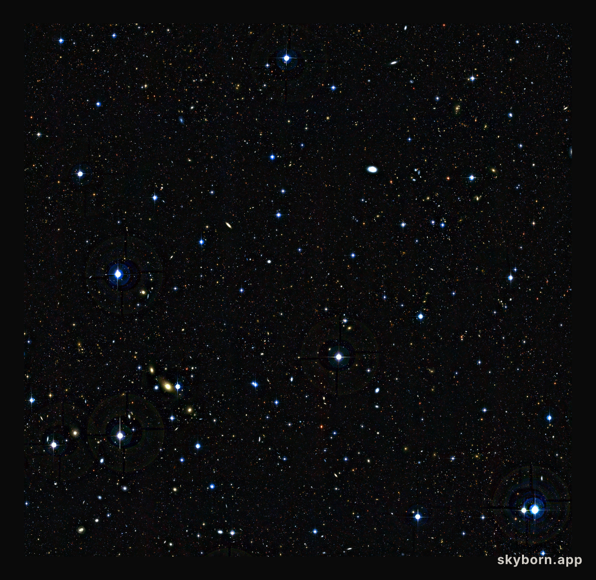 Teenage galaxies in the distant Universe (unannotated)