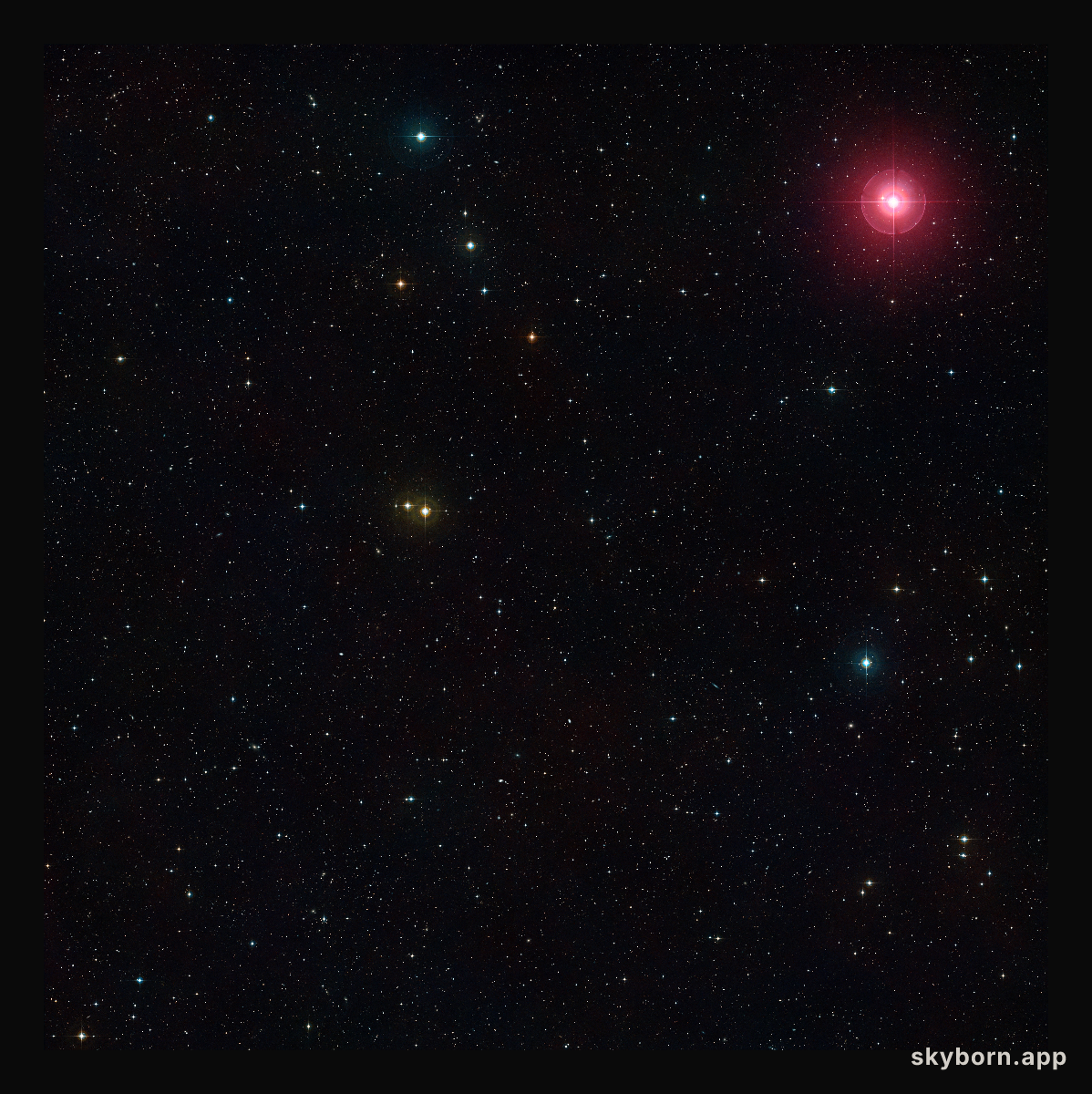 A Wide-field view of the sky around a field studied in the MASSIV survey