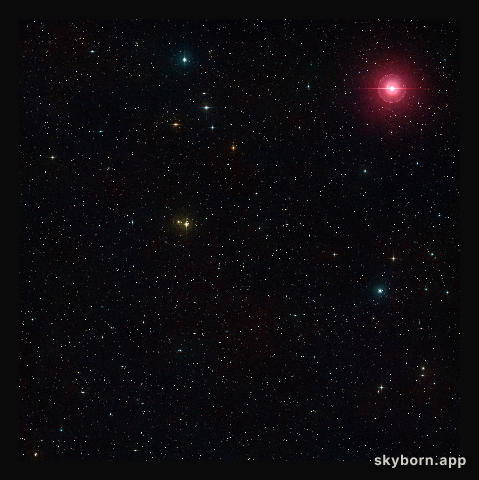 A Wide-field view of the sky around a field studied in the MASSIV survey