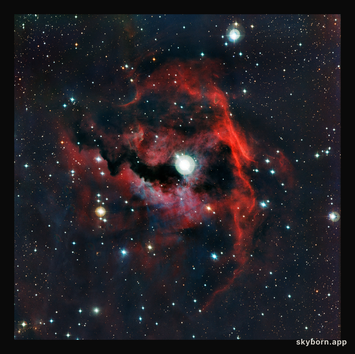 Close-up view of the head of the Seagull Nebula