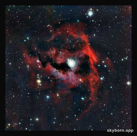 Close-up view of the head of the Seagull Nebula