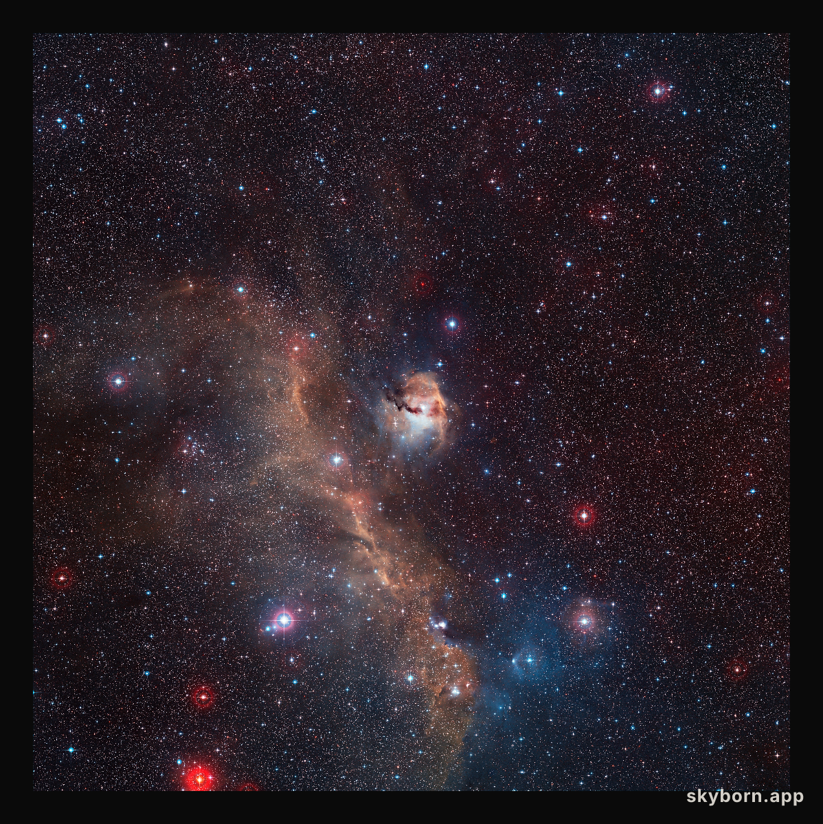 Wide-field view of the entire Seagull Nebula (IC 2177)