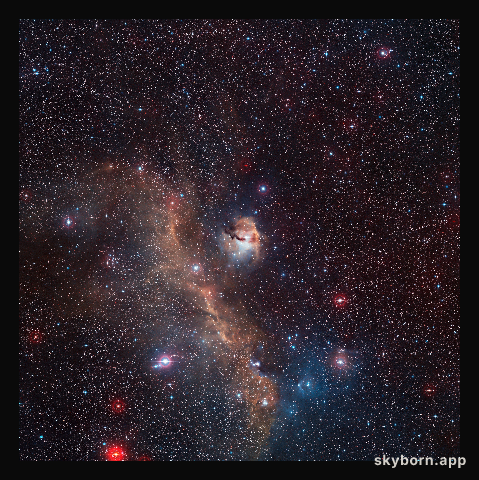 Wide-field view of the entire Seagull Nebula (IC 2177)
