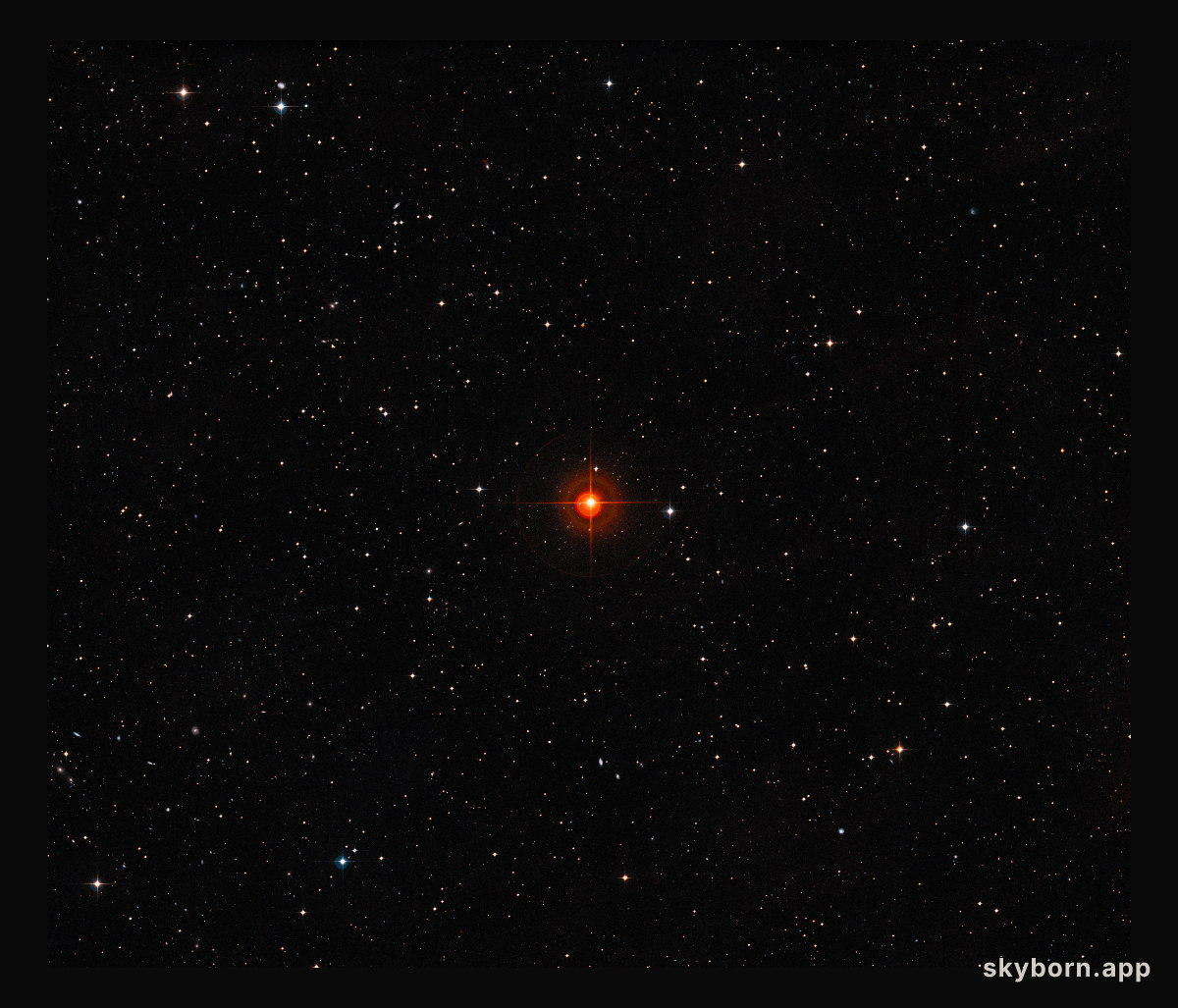 Wide-field view of the sky around the red giant star R Sculptoris