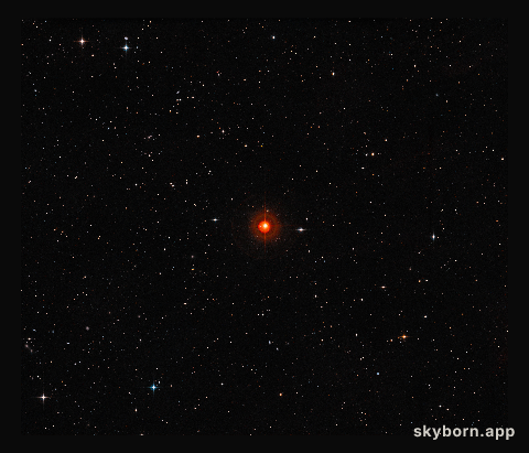 Wide-field view of the sky around the red giant star R Sculptoris