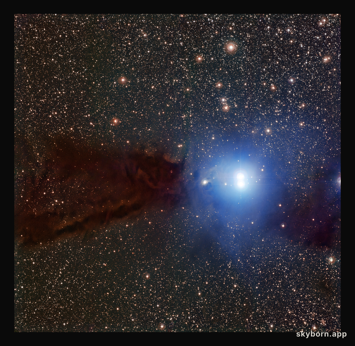The Lupus 3 dark cloud and associated hot young stars
