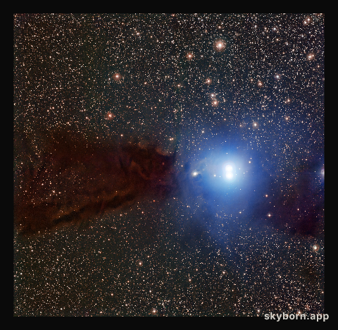 The Lupus 3 dark cloud and associated hot young stars