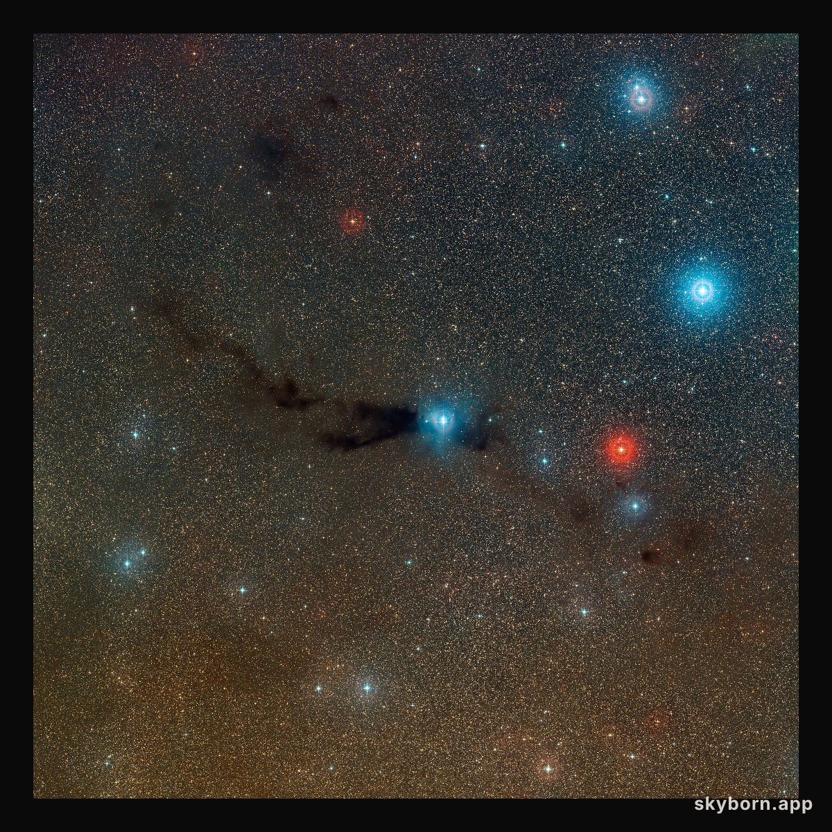 Wide-field view of the Lupus 3 dark cloud and associated hot young stars