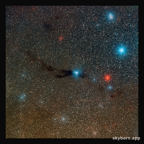 Wide-field view of the Lupus 3 dark cloud and associated hot young stars