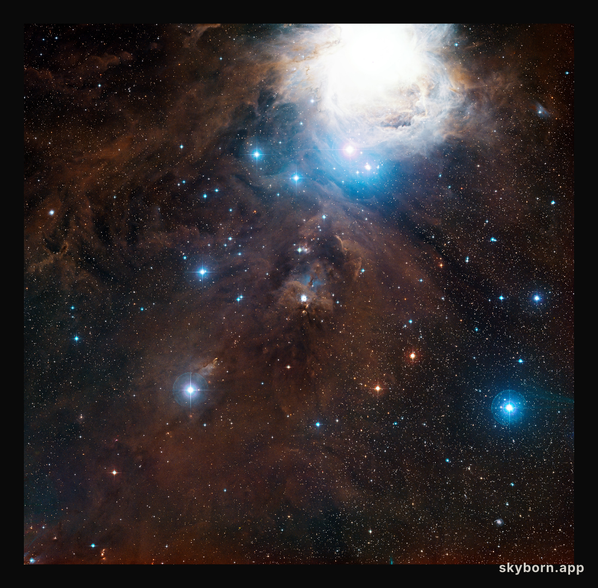 Wide-field view of part of Orion in visible light