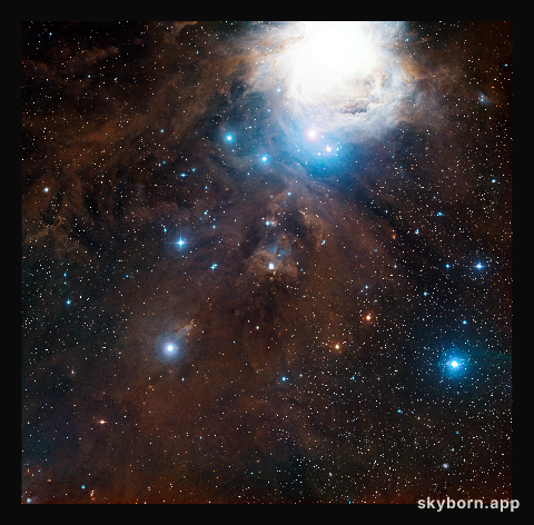 Wide-field view of part of Orion in visible light