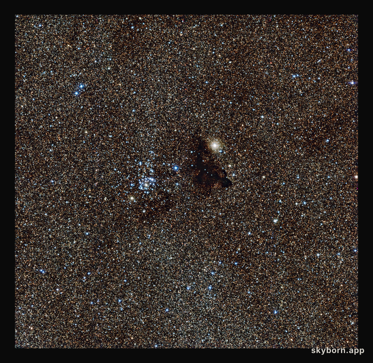 The bright star cluster NGC 6520 and the strangely shaped dark cloud Barnard 86