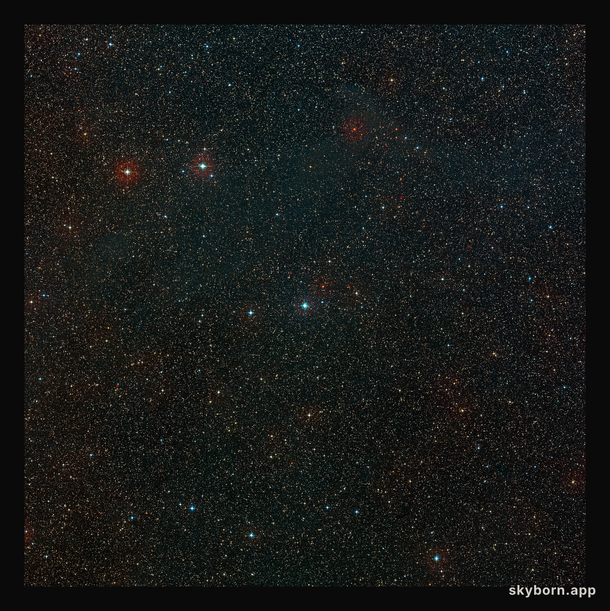 Wide-field view of the sky around the young star HD 100546