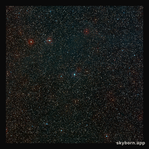 Wide-field view of the sky around the young star HD 100546