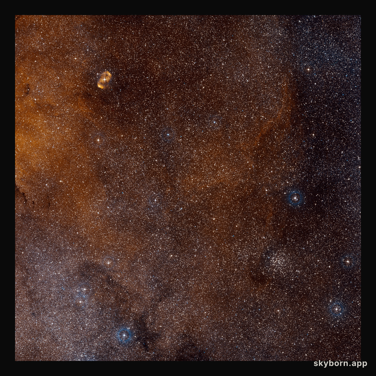 Wide-field view of the sky around SDC 335.579-0.292