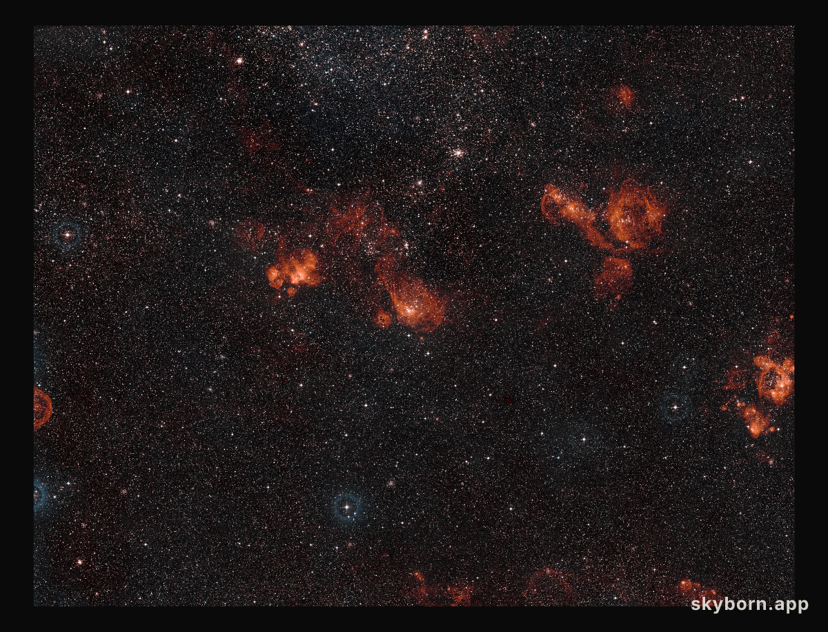 Wide-field view of NGC 2014 and NGC 2020 in the Large Magellanic Cloud