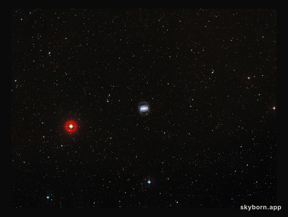 Wide-field view of the galaxy NGC1433