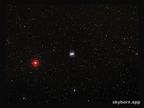 Wide-field view of the galaxy NGC1433