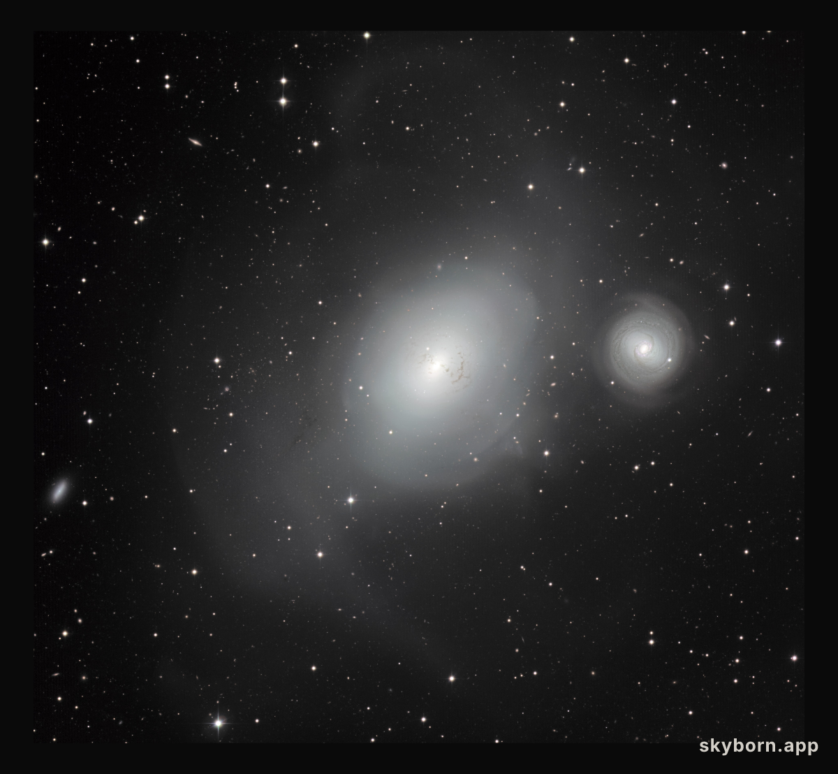 The contrasting galaxies NGC 1316 and 1317
